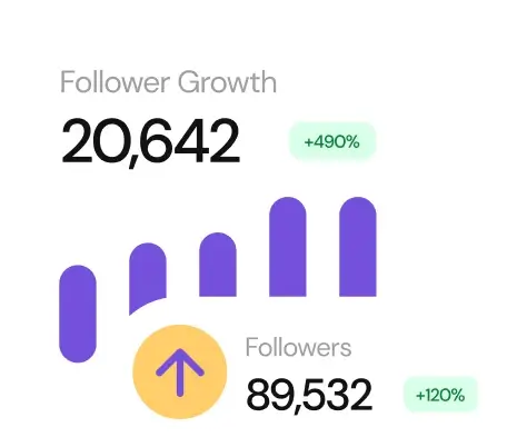 Insite of followers growth